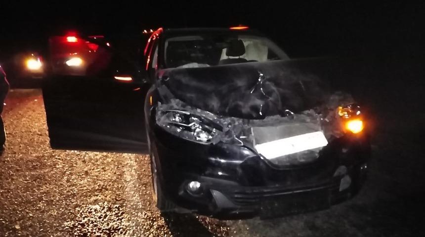 Gerc&uuml;ş&rsquo;te otomobilin &ccedil;arptığı eşek telef oldu