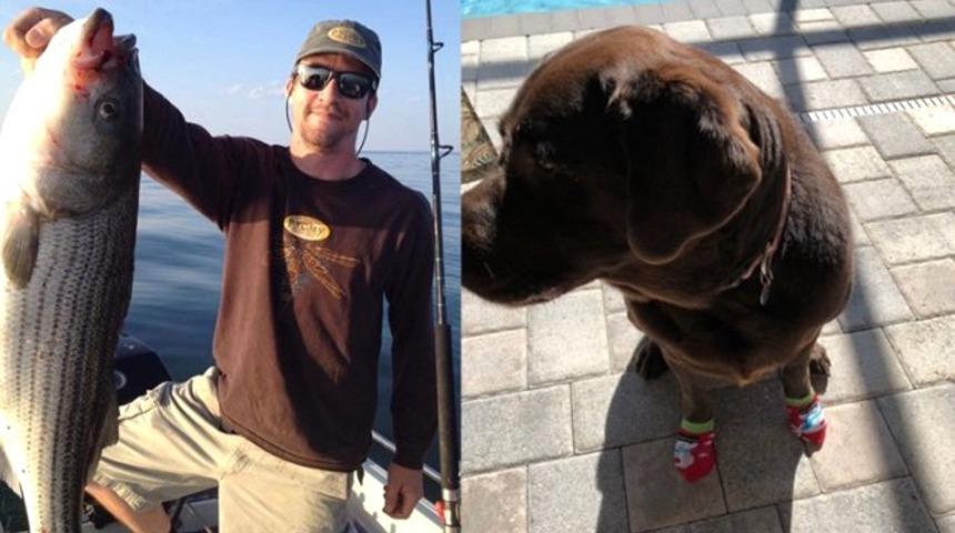 K&ouml;peğini timsah yedi! O g&ouml;r&uuml;nt&uuml;y&uuml; kaldıramayınca...