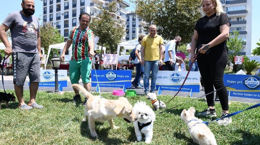 Hayvanseverler patili dostlarıyla buluştu