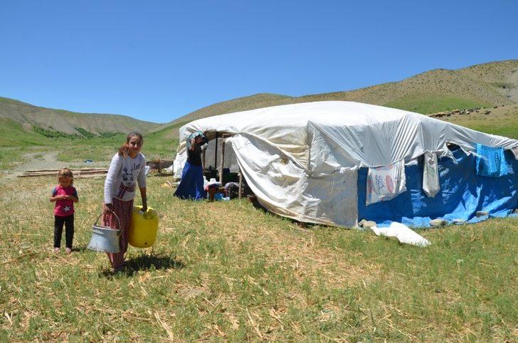 Göçerler, yaylalardaki yerini almaya başladı G4