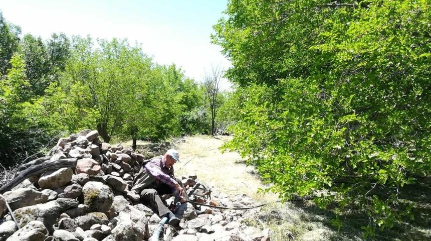 Dut bah&ccedil;elerinde hazırlık zamanı