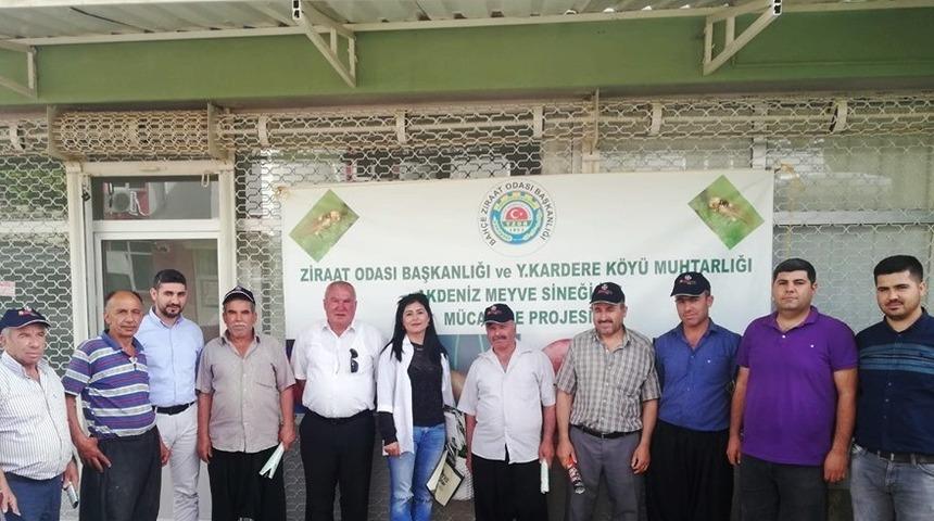 &Ccedil;ift&ccedil;ilere Akdeniz Meyve Sineğiyle m&uuml;cadele eğitimi