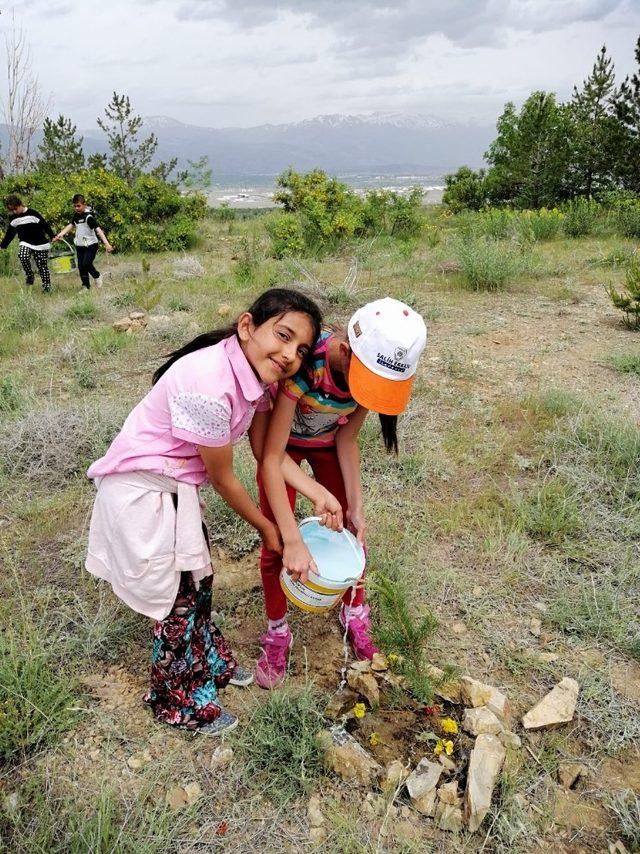 Sevgi Ormanı sevgiyle büyüyor