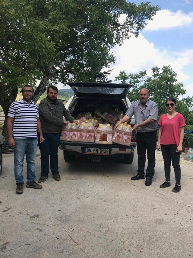 Kirazdaki sirke sineği zararlısına sirkeli tuzak