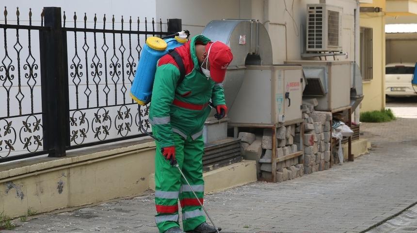 Karaköprü’de haşereyle mücadele sürüyor