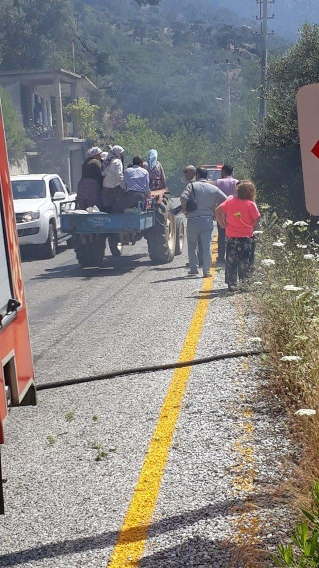 Gökova Körfezinde zeytinlik yangını