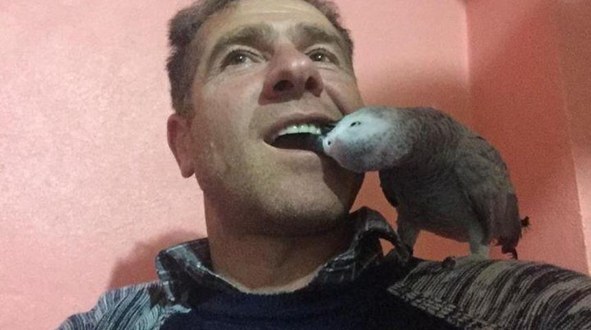  Kayıp papağanını bulana 5 bin lira ödül verecek