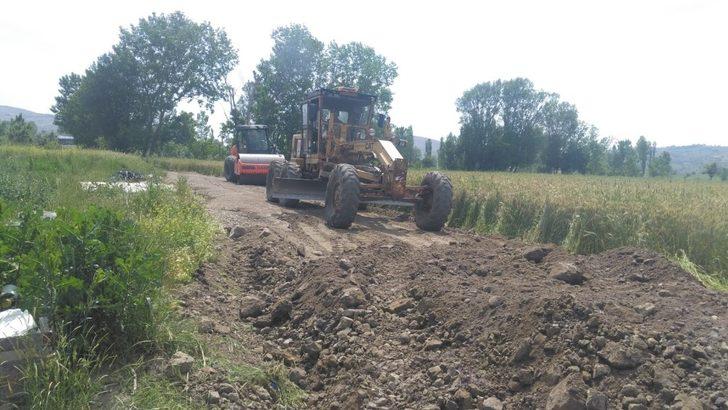 Karesi yaza hazırlanıyor G5