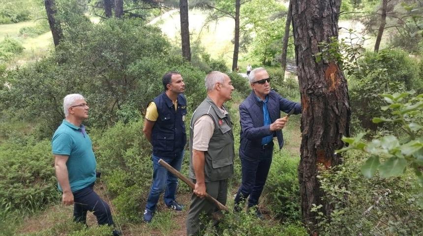 Böceklere savaş açtılar