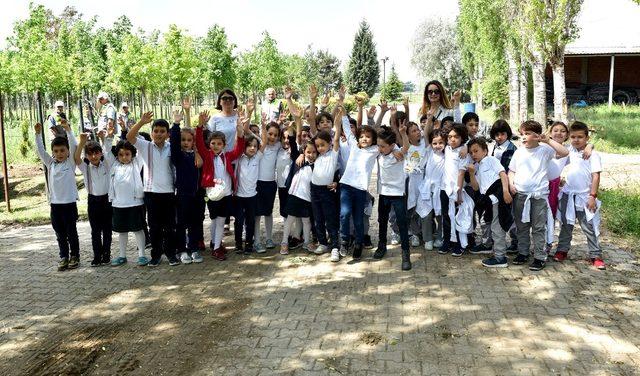 Anaokulu ve kreş öğrencileri çam fidanlarını toprakla buluşturdu