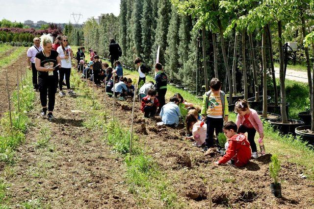 Anaokulu ve kreş öğrencileri çam fidanlarını toprakla buluşturdu