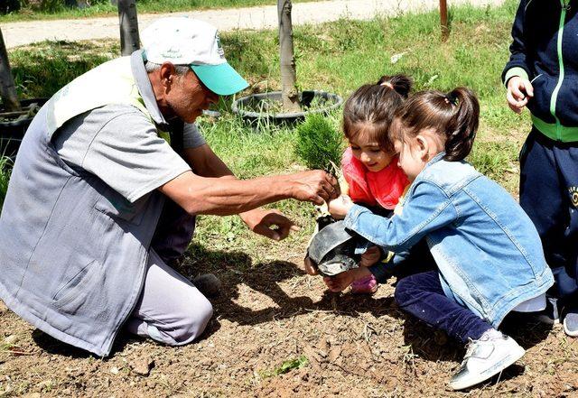 Anaokulu ve kreş öğrencileri çam fidanlarını toprakla buluşturdu