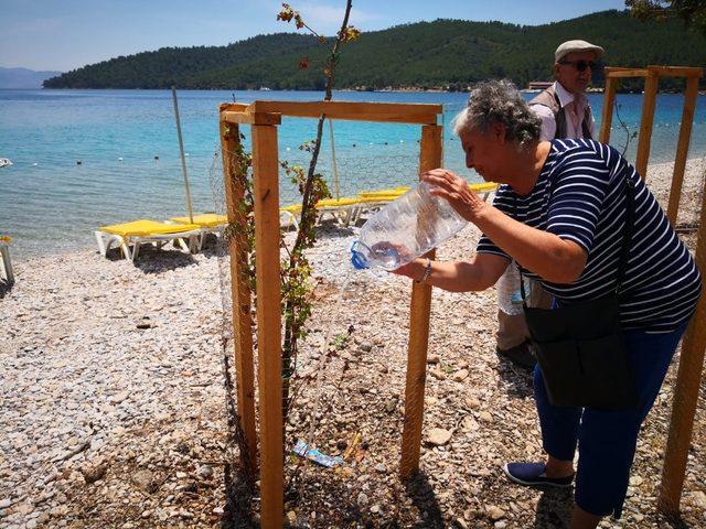 Muğla’nın çınarları, ağaç katliamı sonrası dikilen fidanları suladı