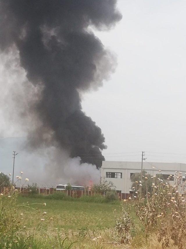 Turşu fabrikasının bahçesinde çıkan yangın korkuttu