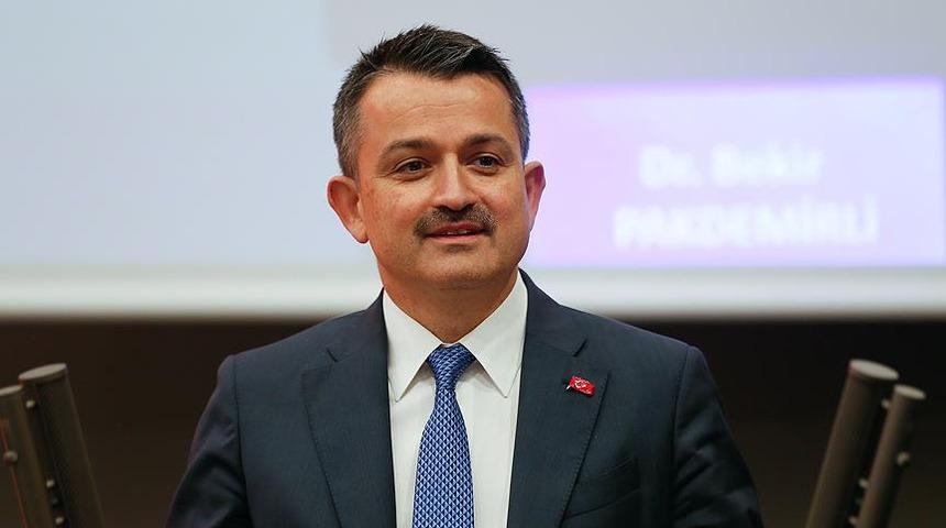 Tarım ve Orman Bakanı Bekir Pakdemirli'den, kıyı balıkçılarına ödeme müjdesi