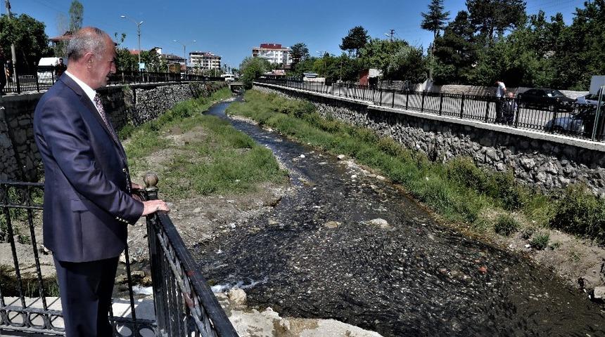 İnci kefali balığını koruma &ccedil;alışmaları