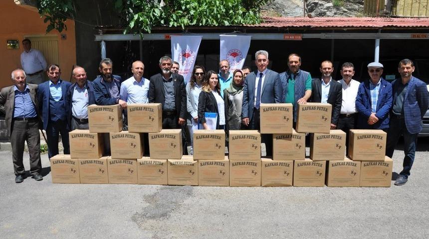 G&uuml;m&uuml;şhane&rsquo;de organik arıcılığa petek desteği