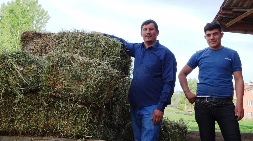 Yoncanın balya fiyatı 18 liraya yükseldi