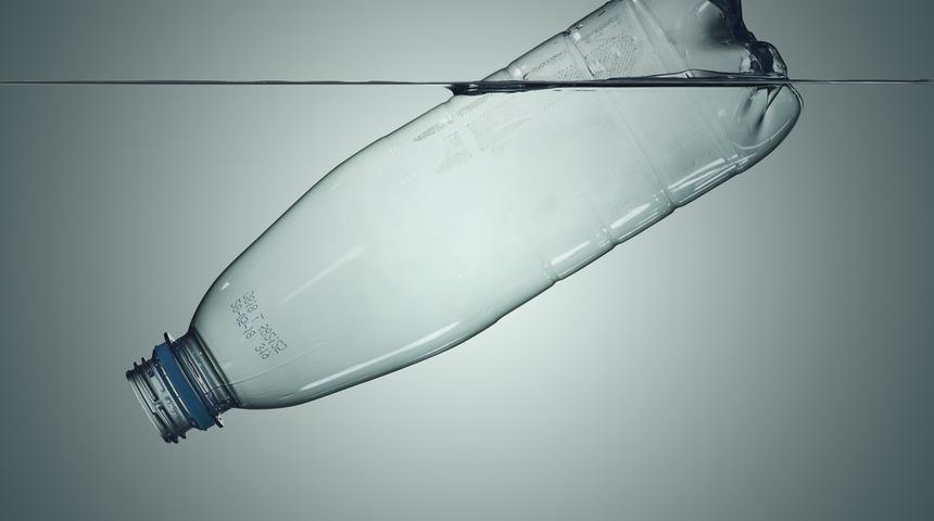 Dünyanın en uzun canlı yayını 450 yıl sürecek