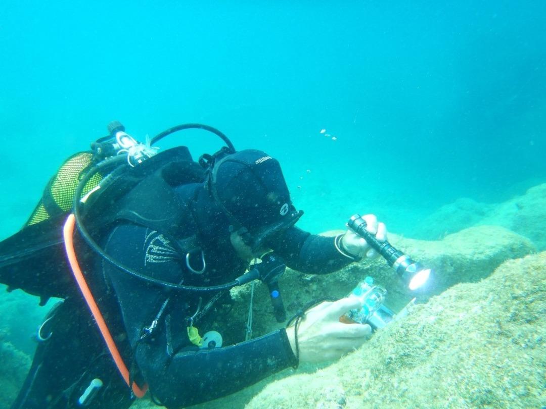 Antalya&rsquo;nın deniz biyo&ccedil;eşitliliği inceleniyor