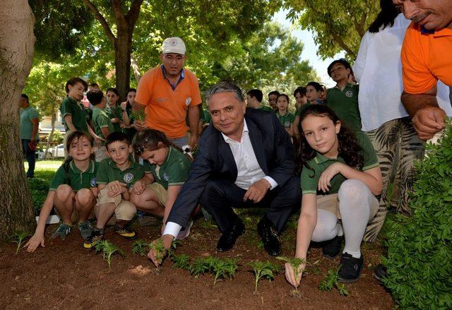 Başkan Uysal’la parkta ders yaptılar