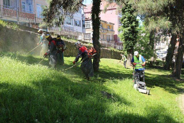 Altınordu’da bahar temizliği