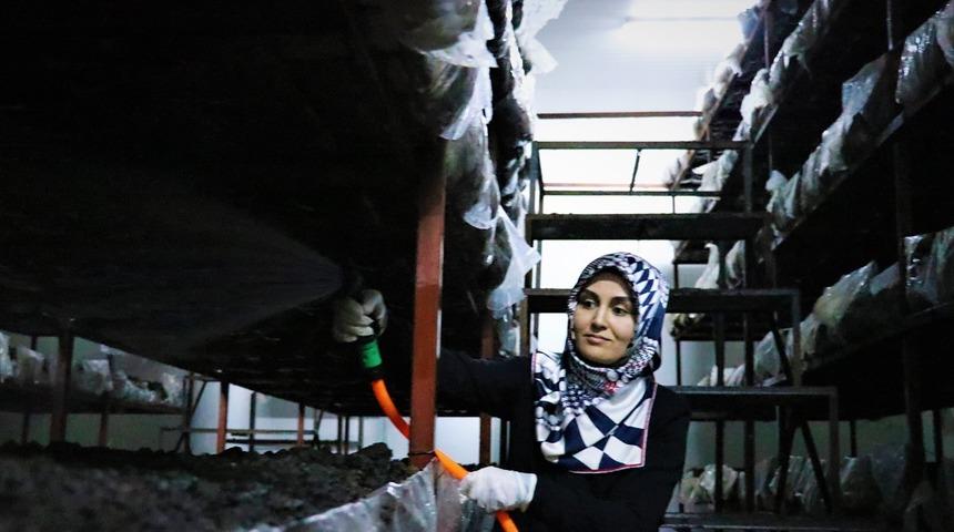 Devlet desteğiyle kurdukları tesiste mantar üretiyorlar