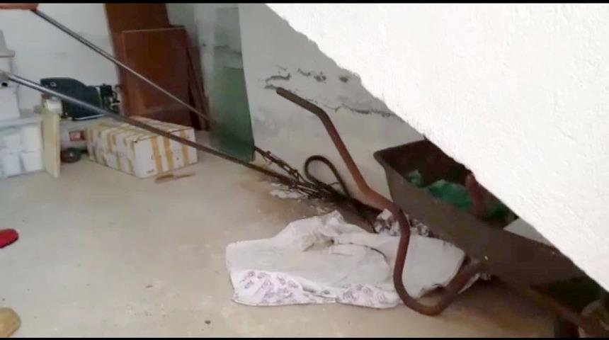 Seydikemer&rsquo;de itfaiyeden yılan yakalama operasyonu