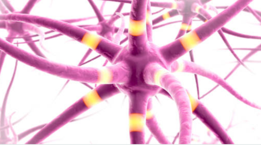 MS tedavisi nasıl olur? MS belirtileri nelerdir?