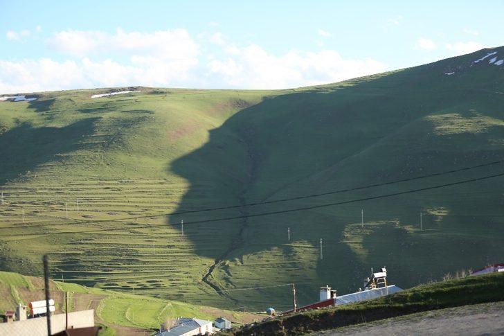 Ardahan’da ‘Atatürk Silueti’ görülmeye başlandı G5