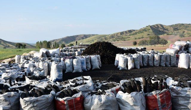 Mangal kömürü üretmek için gece gündüz mesai yapıyorlar