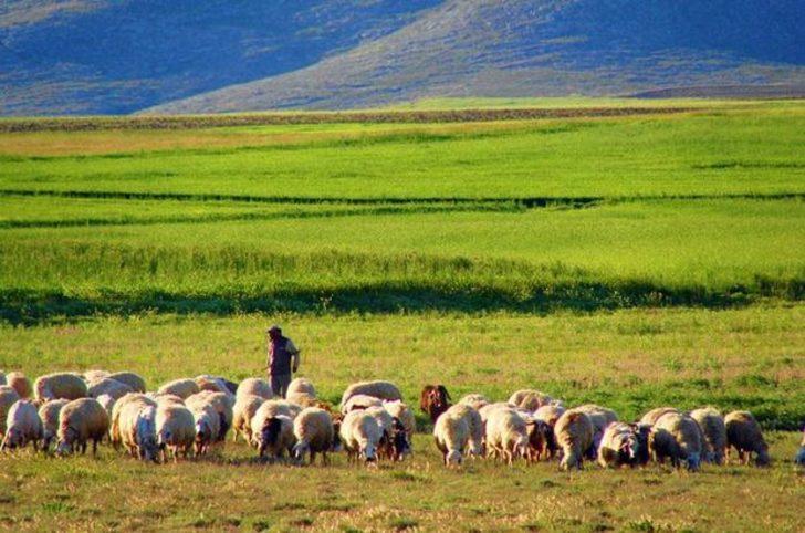 Dün çoban, bugün patron G2