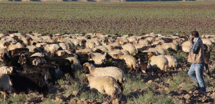 Dün çoban, bugün patron G4