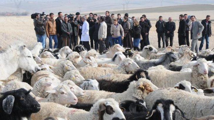 Dün çoban, bugün patron G5