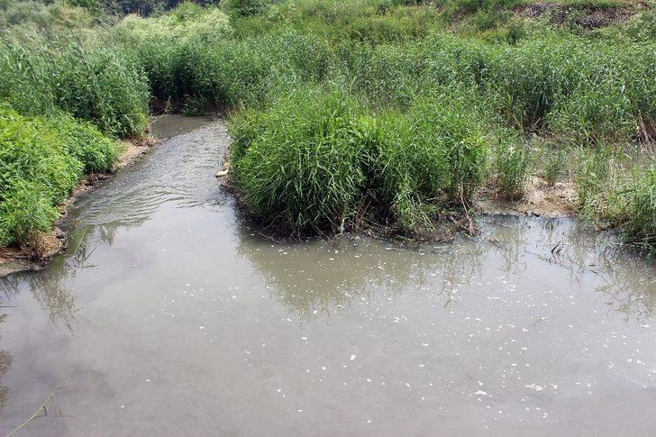 (Özel) Balıkesir’de mahalleliler dereden yayılan kötü kokuya isyan etti G4