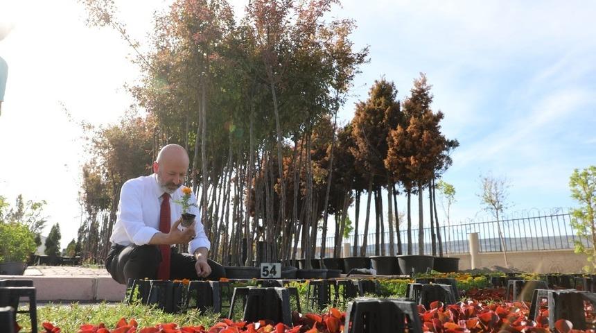 Başkan Çolakbayrakdar: "Yeşil alan miktarı daha da artırılacak"