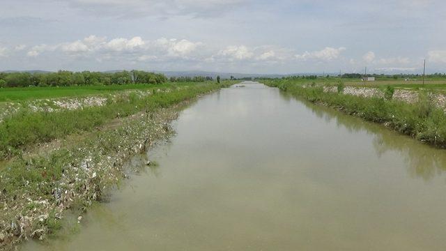 Karasu Nehri’ne atılan çöpler doğayı ve hayvanları tehdit ediyor