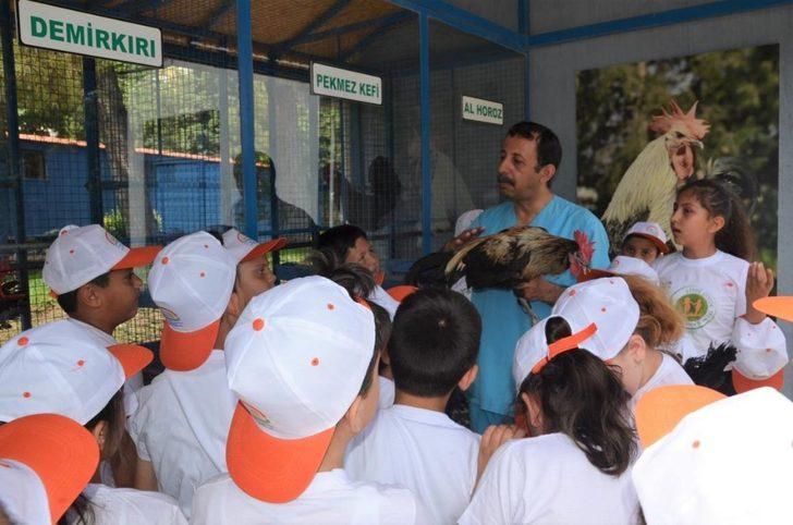 Lider Çocuk Tarım Kampında sıfır atık teması işlendi G3