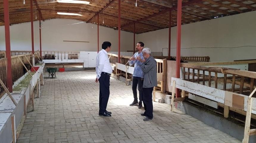 Rekt&ouml;r Alma, tarım alanlarında incelemelerde bulundu