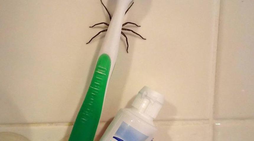 Güne başlarken hiç bunu beklemiyordu! Görünce sizin de içiniz gidecek