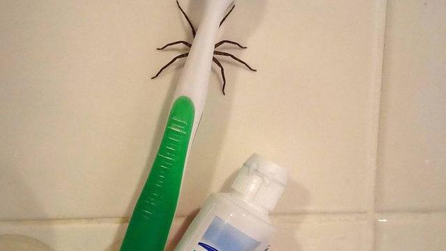 Güne başlarken hiç bunu beklemiyordu! Görünce sizin de içiniz gidecek