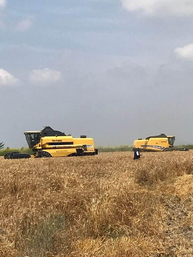 Tarsus’ta buğday hasadı devam ediyor