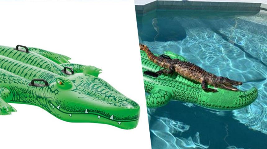 Eve geldiğinde büyük bir şokla karşılaştı! Hemen ev sahibini aradı ama... 