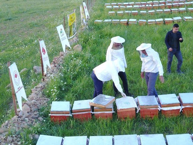 Siirt’te arıcılık devlet desteği ile yaygınlaşıyor