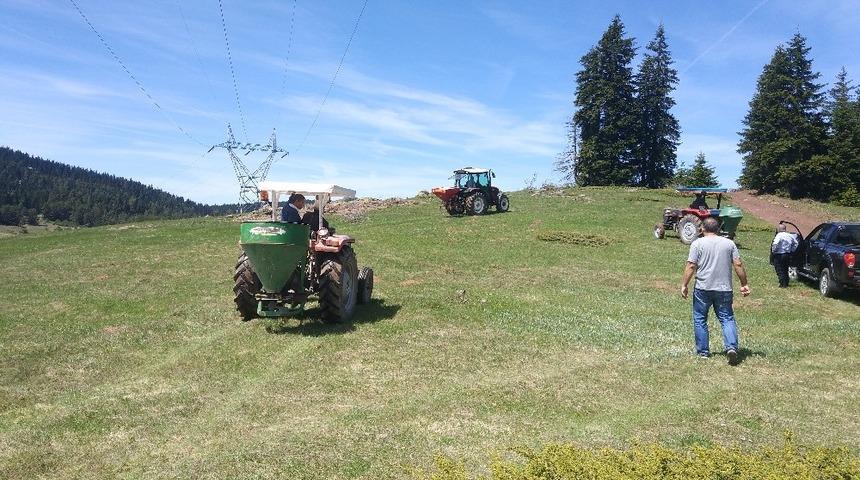 Tosya&rsquo;da meralar g&uuml;breleniyor