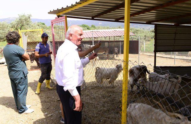 Belediye Başkanı Çakır'dan şiddet gören hayvanların yaşadığı barınağa destek sözü