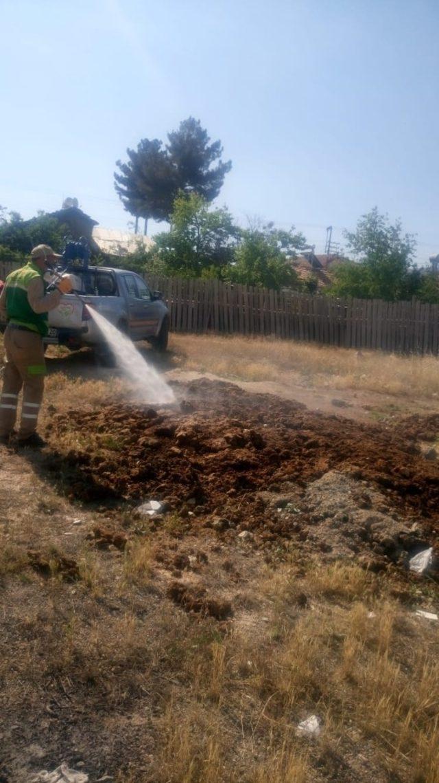 Malatya’da haşereyle mücadele sürüyor