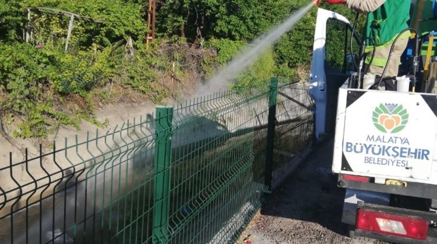 Malatya’da haşereyle mücadele sürüyor