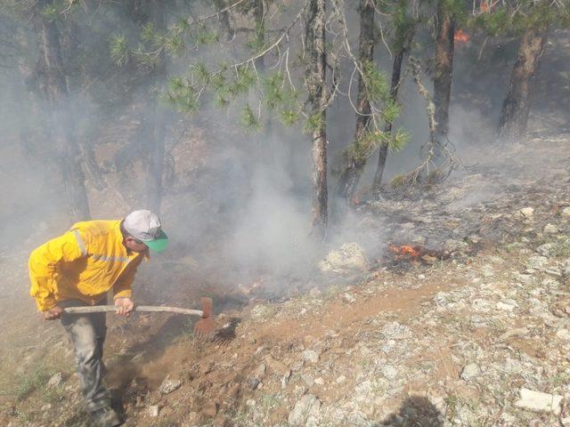 Muğla’da sezonun ilk yangınına havadan ve karadan müdahale ediliyor