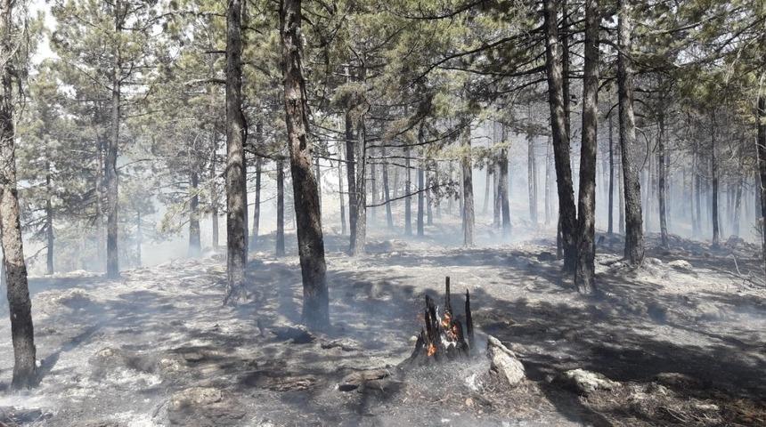 Muğla’da sezonun ilk yangınına havadan ve karadan müdahale ediliyor